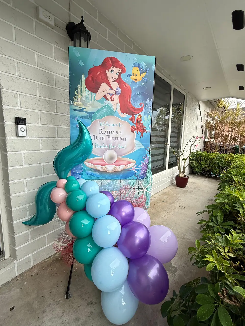 A Dream Under the Sea - Image 8